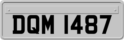 DQM1487