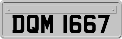 DQM1667