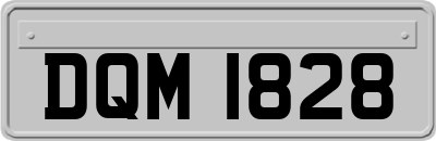 DQM1828