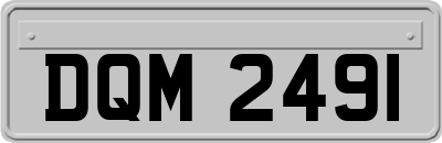 DQM2491