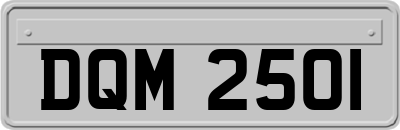 DQM2501