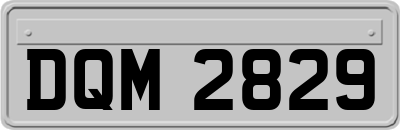 DQM2829