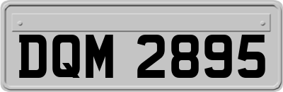DQM2895