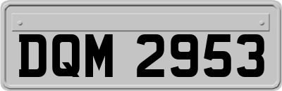 DQM2953