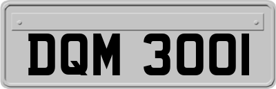 DQM3001