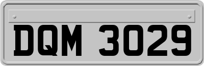 DQM3029