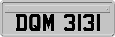 DQM3131