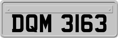 DQM3163