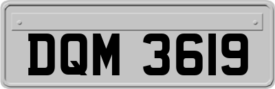 DQM3619