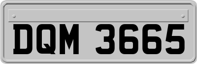 DQM3665