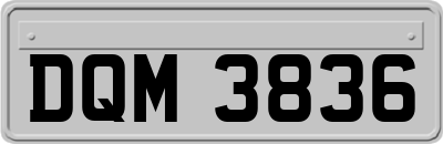 DQM3836