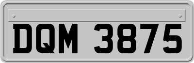 DQM3875