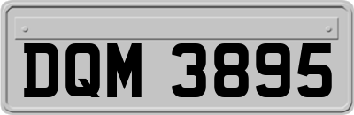 DQM3895