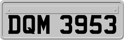 DQM3953