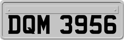 DQM3956