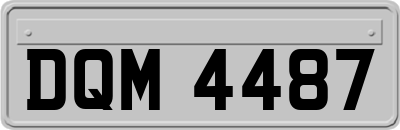 DQM4487