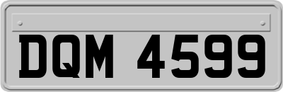 DQM4599