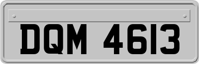 DQM4613