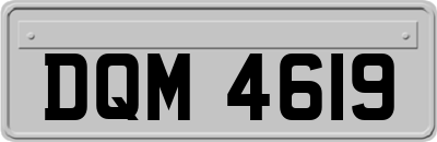 DQM4619
