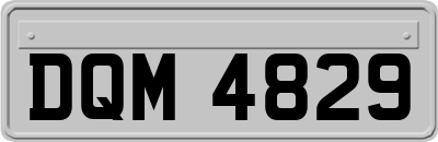 DQM4829