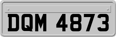 DQM4873