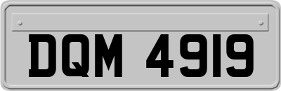 DQM4919