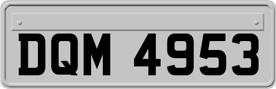 DQM4953