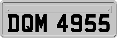 DQM4955