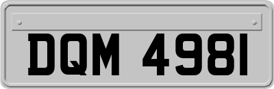 DQM4981