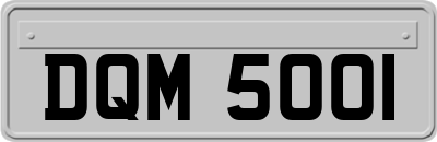 DQM5001