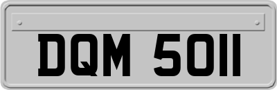 DQM5011