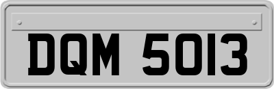 DQM5013