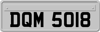 DQM5018