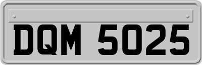 DQM5025