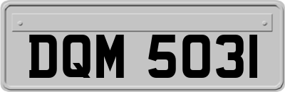 DQM5031