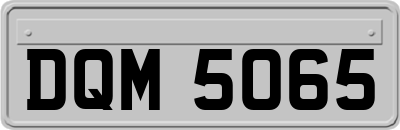 DQM5065