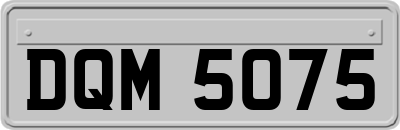 DQM5075