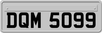 DQM5099