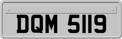 DQM5119
