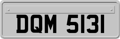 DQM5131