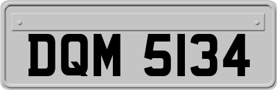 DQM5134