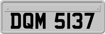 DQM5137
