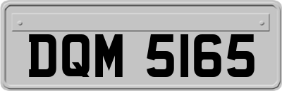 DQM5165