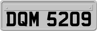 DQM5209