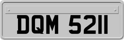 DQM5211
