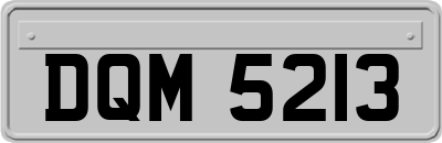 DQM5213