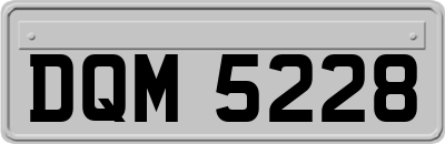 DQM5228