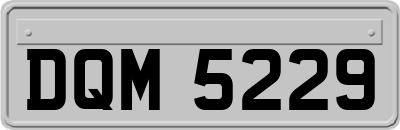 DQM5229