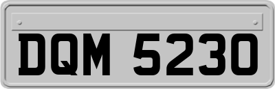 DQM5230