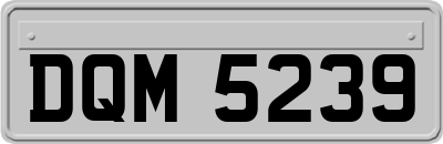 DQM5239